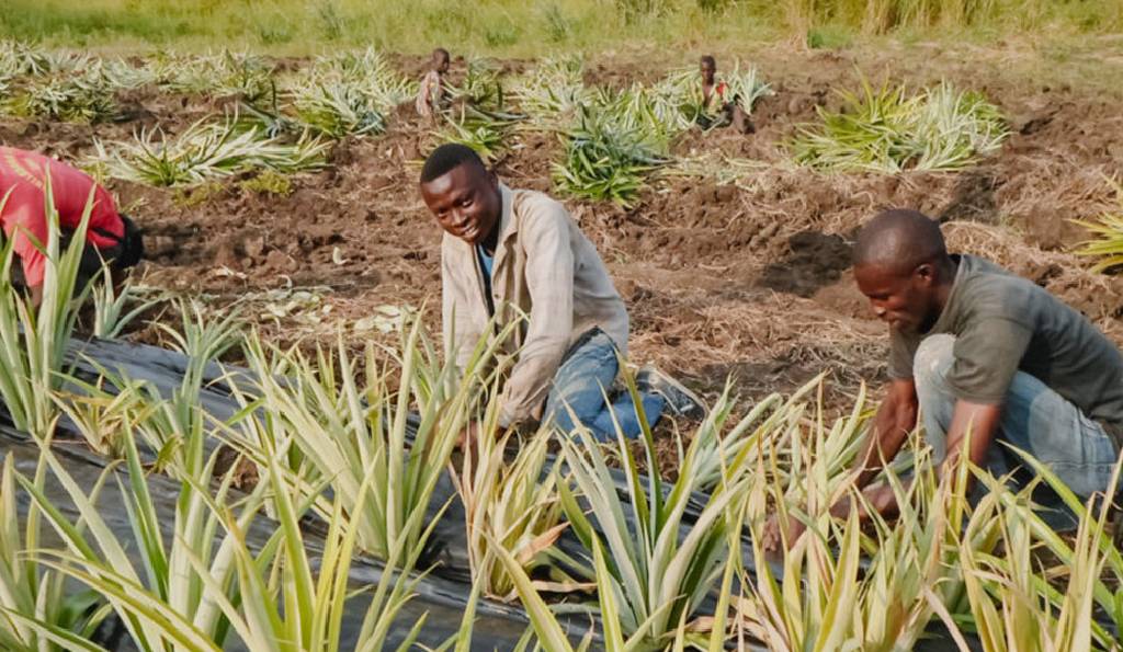 Agribusiness